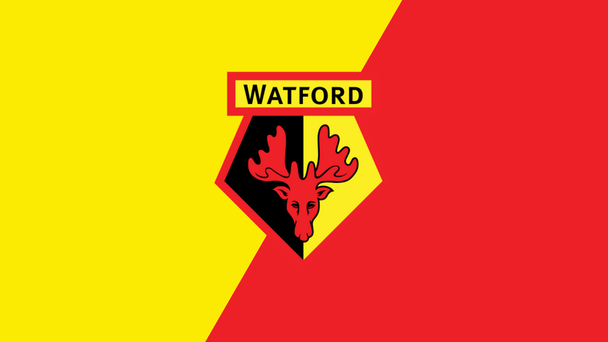 Watford FC FanRobes